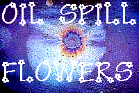 oilspill flowers